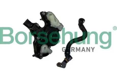 Фото Комплект труб для масловіддільника Borsehung (B11921) зображення 1