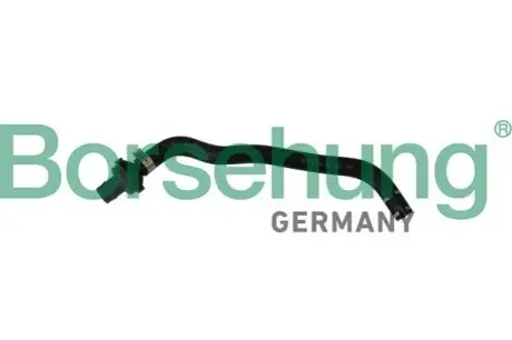 Автозапчасть Borsehung B11970 Купить в Украине