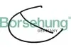 Автозапчасть Borsehung (B11988) изображение 1