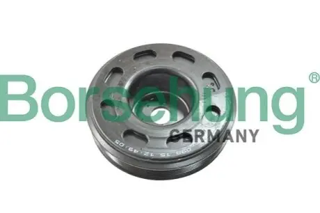 Автозапчасть Borsehung B12079