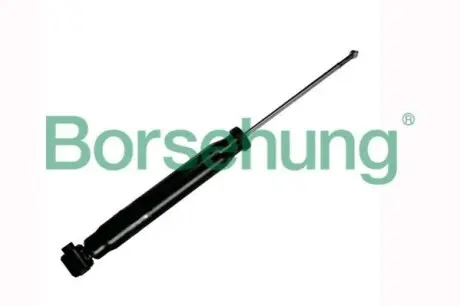 Амортизатори Borsehung B12141 Купити в Україні