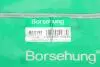 Фото Сальник Borsehung (B12191) изображение 5
