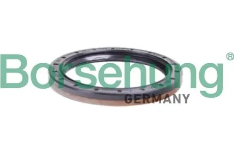 Сальник КПП (R) VW Passat 2.0TSI/TDI 14- (65x83x8/8) Borsehung B12197 Купити в Україні