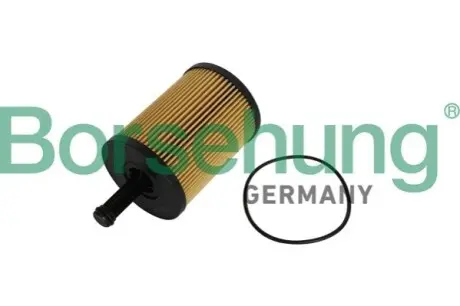 Фільтр масляний VW T5/Caddy III 03 Borsehung B12224