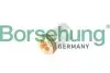 Клапан обратный Borsehung (B12241) изображение 1