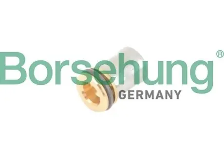 Патрубки подачі повітря Borsehung B12241 Купити в Україні