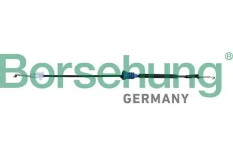 Borsehung B12341