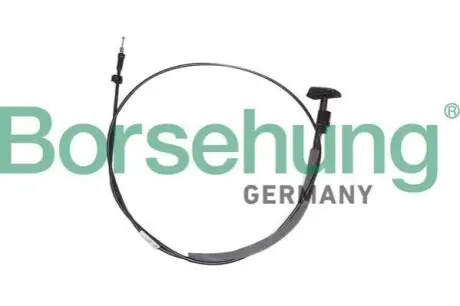 Borsehung B12344