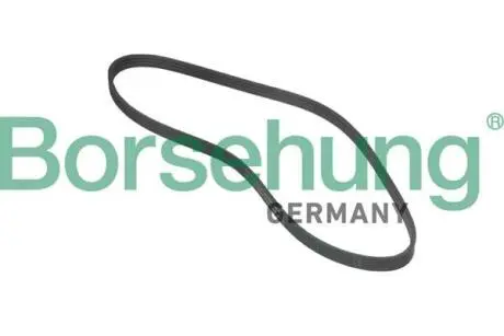 Ремінь генератора Citroen Berlingo/Peugeot Partner 1.1/1.4/1.6, 96 Borsehung B12381 Купити в Україні