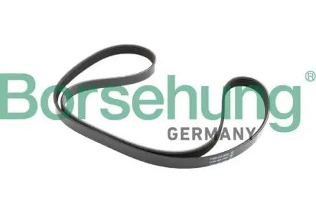 Ремінь генератора VW Passat B5/Audi A4/A6 1.6/1.8 95 Borsehung B12382 Купити в Україні