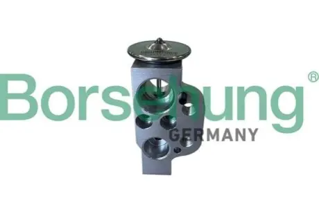 Розширювальний клапан кондиціонера Borsehung B12412 Купити в Україні