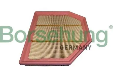 Фільтр повітряний лівий Borsehung B12455 Купити в Україні