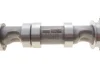 Розподільний вал VW Caddy III/IV/ T5/T6/ Crafter 30-50 2.0 TDI 10- (сторона впуска) Borsehung (B12522) зображення 5