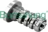 Клапан контролю масла для VVT Borsehung (B12694) зображення 1