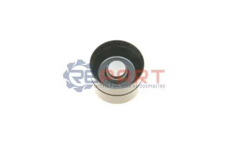 Гидрокомпенсатор VW T5/Caddy/Golf/Passat 1.9/2.5TDI 03-(35x26) (к-кт 8 шт.) (OE VAG) Borsehung B16920 Купить в Украине