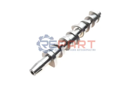 Розподільний вал VW Caddy III 1.9TDI (BJB,BLS) 77kw 04-10/VW T5 1.9TDI (AXC,AXB) 63/77kw, 03-09 (OE VAG) Borsehung B17861 Купити в Україні