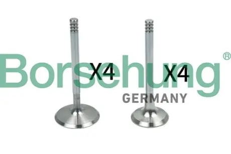 Фото Клапан ГРМ Borsehung (B18148) изображение 1