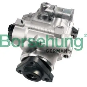Насос гідропідсилювача Borsehung B18225 Купити в Україні