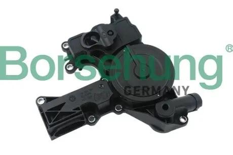 Сепаратор (оливи) Audi Q3/Q5/VW Tiguan 1.8TSI/2.0TFSI 07-18 Borsehung B18479