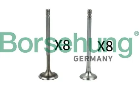 Фото Клапан впускной (к-кт 8*8) Borsehung (B18630) изображение 1