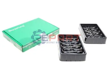 Клапана к-кт 8*8 (04E109601+04E109611L Borsehung B18631 Купить в Украине