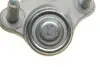 Опора кульова (передня/знизу/R) Audi A3/Seat/Skoda Octavia/SuperB/VW Caddy/Golf/Touran/Tiguan 03 Borsehung (B18698) зображення 2