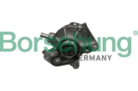 Насос вакуумний VW Golf 1.9SDI/TDI 97-05 (OE VAG) Borsehung B18801 Купити в Україні