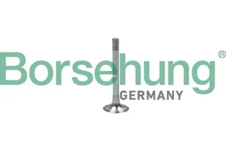 Клапан выпускной Borsehung B18999 Купить в Украине