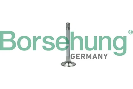 Клапан выпускной Borsehung B18999