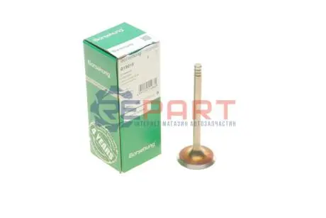 Клапан (впуск/випуск) VW Caddy 1.9SDI 95-04 (к-кт 8шт.) Borsehung B19016 Купити в Україні