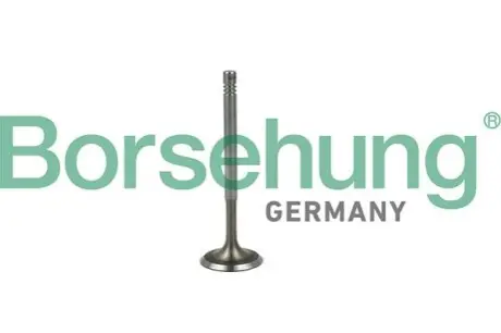 Фото Клапан впускной Borsehung (B19019) изображение 1