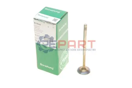 Клапан (впуск) Audi A4/A6/Skoda Octavia/Superb/VW Golf/Passat 1.8-3.0 -10 (OE VAG) Borsehung B19025 Купити в Україні