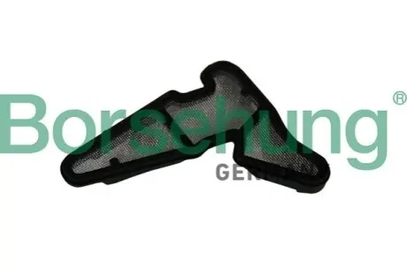 Фільтр помпи оливної Audi A4/A6/A8/Q3/Q5/VW Golf VI/Passat 1.8/2.0 TFSI 08-17 (OE VAG) Borsehung B19034 Купити в Україні