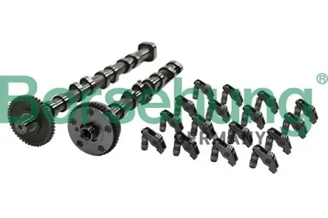 Фото Р-кт валу 06H109021K+..22BC+022109423D+06E109417E Borsehung (B19173) зображення 1