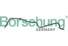 Фото Труба соединительная (OE) Borsehung (B19264) изображение 1