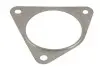 Фото Прокладка випускної системи RENAULT CLIO III, ESPACE IV, GRAND SCENIC II, GRAND SCENIC III, KOLEOS I, LAGUNA, LAGUNA II, LAGUNA III, LATITUDE, MEGANE, MEGANE II, MEGANE III 1.4-2.0D 06.03 BOSAL (256851) зображення 1