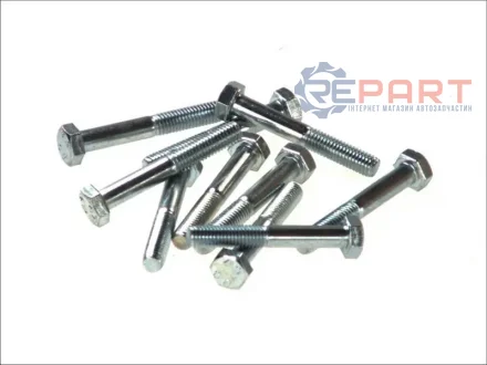 Болт вихлопної системи (M8x1,25x55), 10шт BMW 3 (E36) SEAT LEON SUBARU FORESTER VW GOLF IV 1.4/1.6/2.0 01.91-05.08 BOSAL 258855