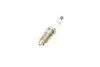 Фото Свеча зажигания HR8DPP15V PLATINUM (FORD) (выр-во) Bosch (0242229652) изображение 3