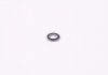Уплотнительное кольцо BOSCH 1 900 210 105 (фото 2)