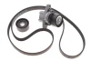Комплект ременя генератора Renault Megane/Scenic 00-09, (5PK1750) Bosch (1 987 600 719) зображення 1
