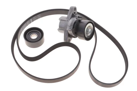 Комплект ременя генератора Renault Megane/Scenic 00-09, (5PK1750) Bosch 1 987 600 719