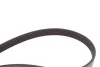 Комплект ременя генератора Renault Megane/Scenic 00-09, (5PK1750) Bosch (1 987 600 719) зображення 9