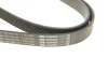 Фото Поликлиновый ремень BOSCH (1987945700) изображение 4
