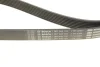 Фото Поликлиновый ремень BOSCH (1987945700) изображение 5