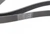 Фото Поліклиновий ремінь (6PK1502) FORD B-MAX, C-MAX II, ECOSPORT, FIESTA VI, FIESTA VII, FOCUS III, GRAND C-MAX, TOURNEO CONNECT V408 NADWOZIE WIELKO, TOURNEO COURIER B460 1.0/1.0H/1.1 02.12 Bosch (1987945727) зображення 2