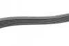 Фото Поліклиновий ремінь (6PK1502) FORD B-MAX, C-MAX II, ECOSPORT, FIESTA VI, FIESTA VII, FOCUS III, GRAND C-MAX, TOURNEO CONNECT V408 NADWOZIE WIELKO, TOURNEO COURIER B460 1.0/1.0H/1.1 02.12 Bosch (1987945727) зображення 4
