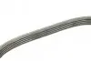 Фото Поліклиновий ремінь (5PK491) AUDI A1 SEAT ALHAMBRA, IBIZA IV, IBIZA IV SC, IBIZA IV ST SKODA FABIA II VW BEETLE, CC B7, EOS, GOLF PLUS V, GOLF V, GOLF VI, JETTA III, JETTA IV 1.4-1.4H 11.05-07.18 Bosch (1987945731) зображення 3