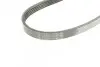 Фото Поліклиновий ремінь (5PK491) AUDI A1 SEAT ALHAMBRA, IBIZA IV, IBIZA IV SC, IBIZA IV ST SKODA FABIA II VW BEETLE, CC B7, EOS, GOLF PLUS V, GOLF V, GOLF VI, JETTA III, JETTA IV 1.4-1.4H 11.05-07.18 Bosch (1987945731) зображення 4