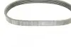 Фото Поліклиновий ремінь (5PK491) AUDI A1 SEAT ALHAMBRA, IBIZA IV, IBIZA IV SC, IBIZA IV ST SKODA FABIA II VW BEETLE, CC B7, EOS, GOLF PLUS V, GOLF V, GOLF VI, JETTA III, JETTA IV 1.4-1.4H 11.05-07.18 Bosch (1987945731) зображення 5