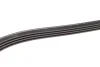 Фото Поліклиновий ремінь (4PK1238) AUDI A4 B5, A6 C5, A8 D2, ALLROAD C5 CITROEN BX RENAULT CLIO II, KANGOO, KANGOO EXPRESS SKODA SUPERB I TOYOTA LAND CRUISER 100 VW PASSAT B5 1.4-4.2D 10.82 Bosch (1987946003) зображення 3